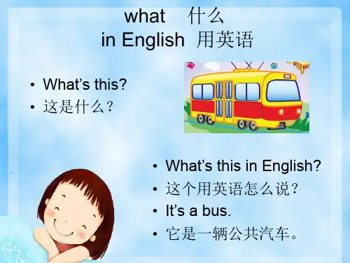四年级英语上册Lesson 11 PPT