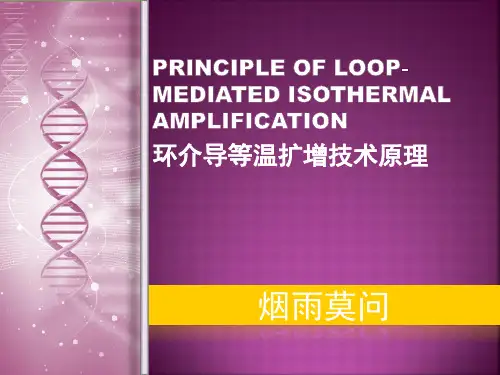 环介导等温扩增技术原理