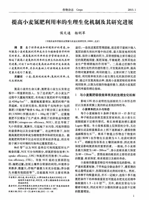 提高小麦氮肥利用率的生理生化机制及其研究进展