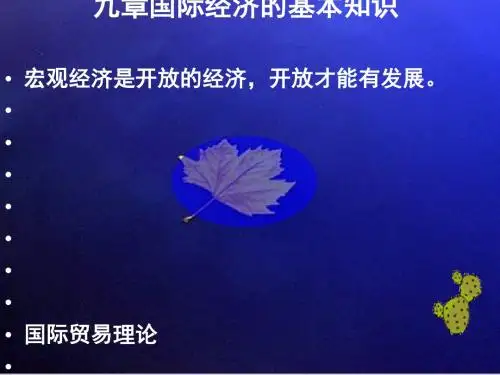 国际经济的基本知识(ppt16张)