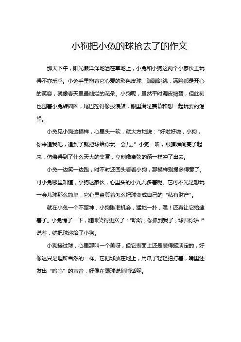 小狗把小兔的球抢去了的作文