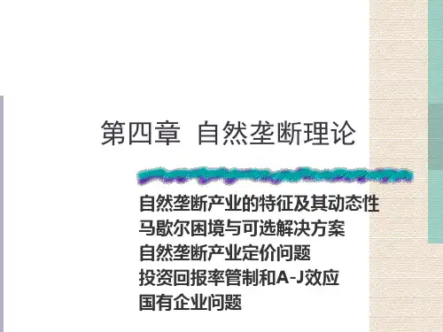第四章 自然垄断理论-PPT课件
