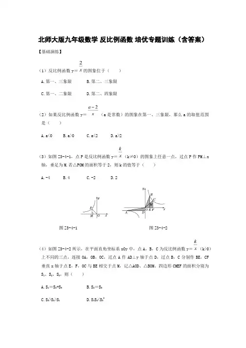  北师大版九年级数学 反比例函数 培优专题训练(含答案)