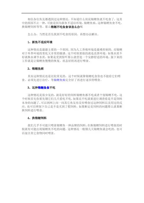 锦鲤不吃鱼食该怎么办
