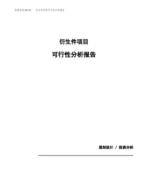 衍生件项目可行性分析报告(模板参考范文)
