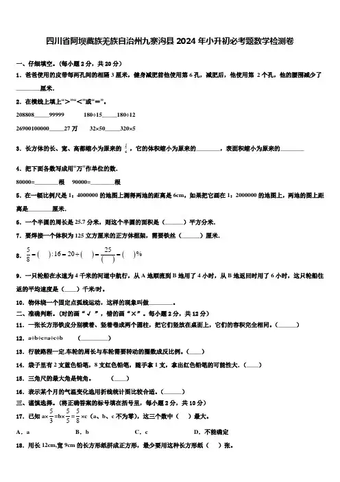 四川省阿坝藏族羌族自治州九寨沟县2024年小升初必考题数学检测卷含解析