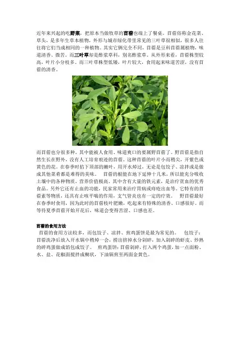 如何区分三叶草和苜蓿