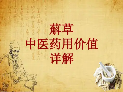中药学_蔛草_药材详解课件模板