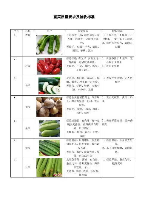 蔬菜质量要求及验收标准