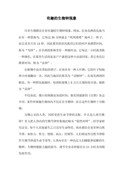 有趣的生物钟现象