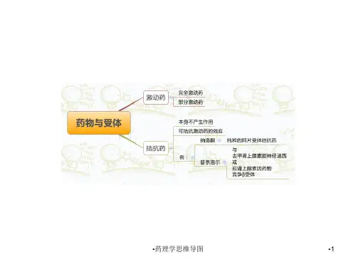 药理学思维导图课件