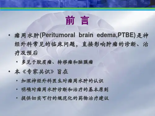 瘤周水肿共识