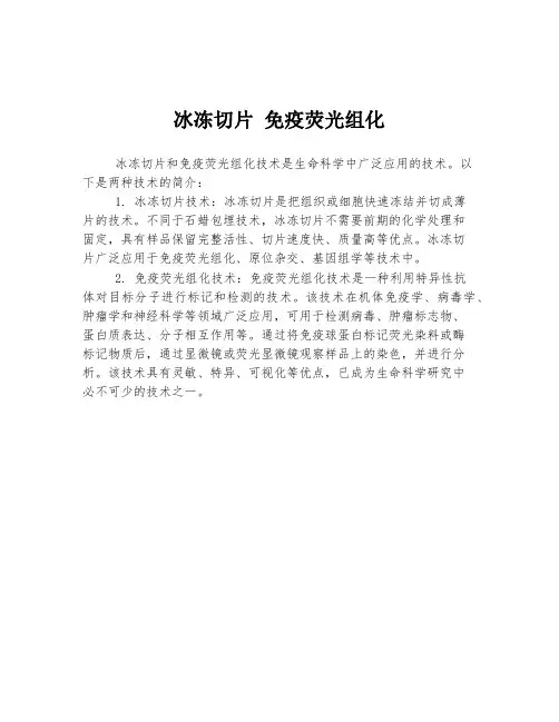 冰冻切片 免疫荧光组化