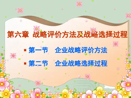 第六章 战略评价方法及战略选择过程 企业战略管理PPT
