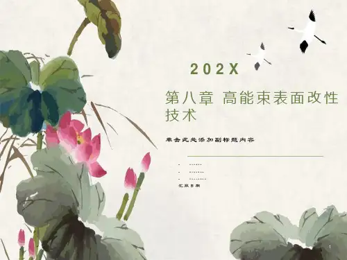 高能束表面改性技术