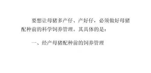 母猪配种前的科学管理