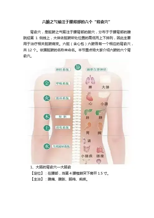 六腑之气输注于腰背部的六个“背俞穴”