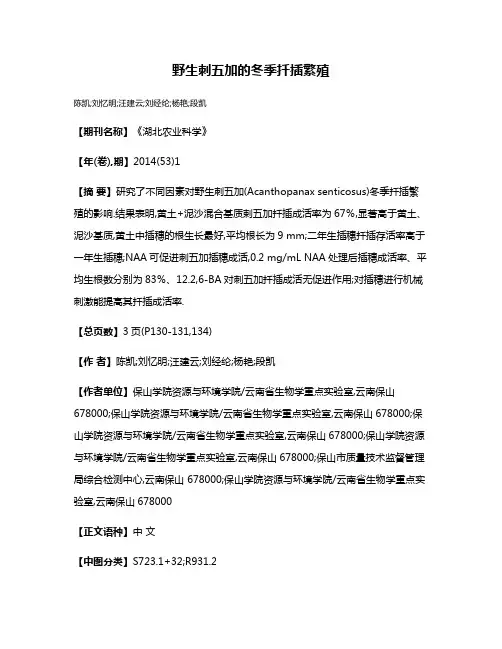 野生刺五加的冬季扦插繁殖