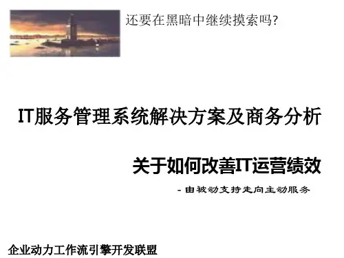 IT服务管理系统解决方案PPT(20张)