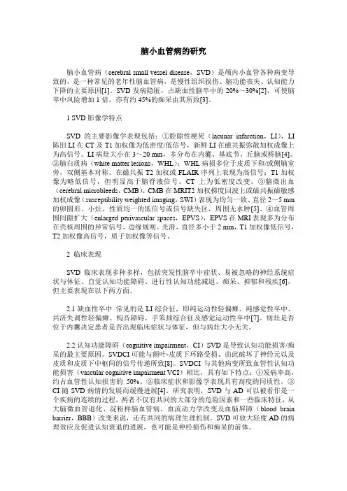 脑小血管病的研究