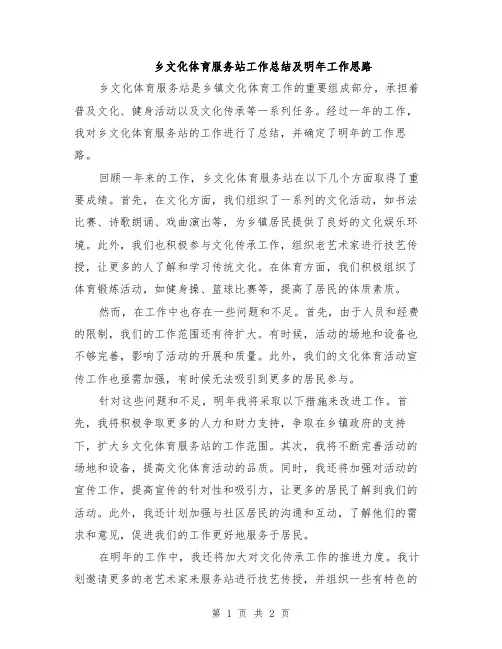 乡文化体育服务站工作总结及明年工作思路