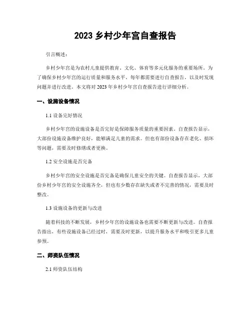 2023乡村少年宫自查报告