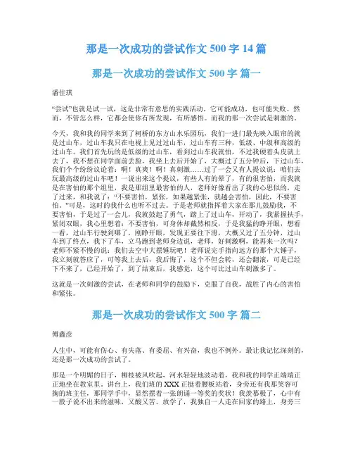 那是一次成功的尝试作文500字14篇