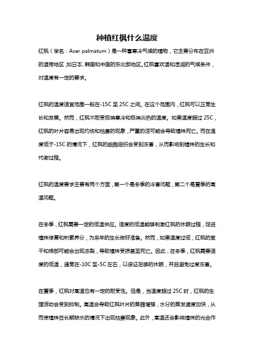种植红枫什么温度