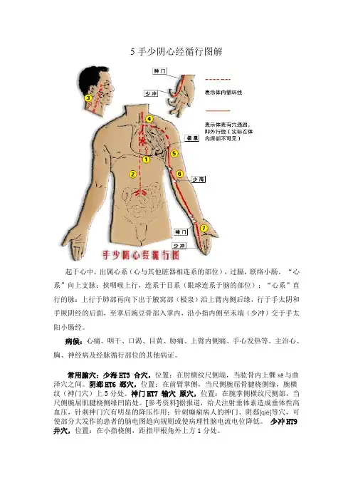 5手少阴心经循行图解