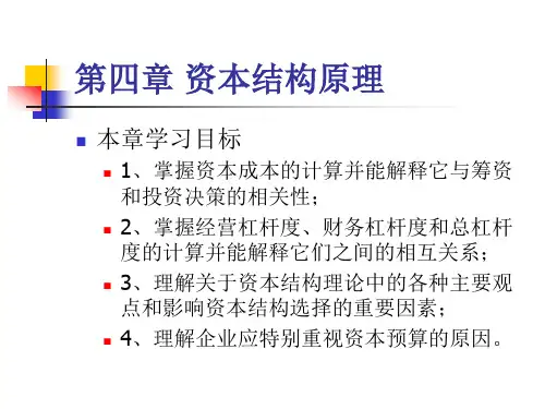 资本结构原理_财务管理