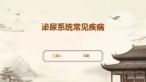 泌尿系统常见疾病
