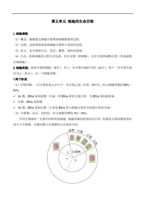 2025届高三一轮复习大单元知识清单：细胞的生命历程