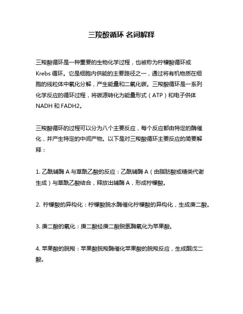 三羧酸循环 名词解释