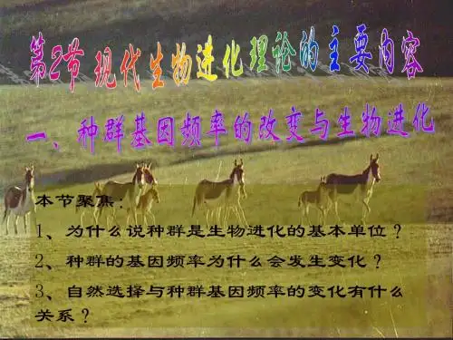 生物：7.2.1《种群基因频率的改变与生物进化》课件(新人教版必修2)