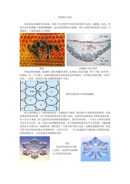 神奇的六边形