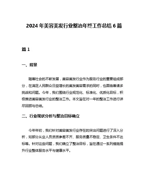 2024年美容美发行业整治年终工作总结6篇