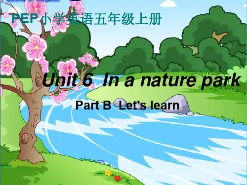 五年级上册Unit_6_In_a_nature_park