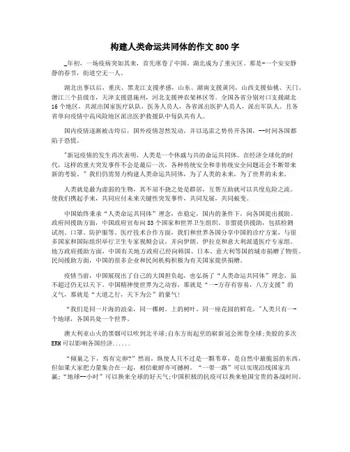 构建人类命运共同体的作文800字