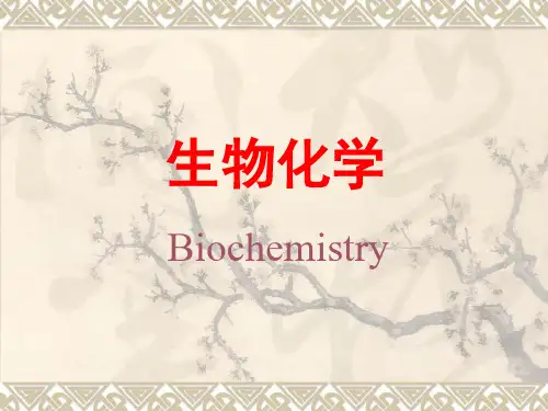 生物化学--生物化学导论 PPT课件
