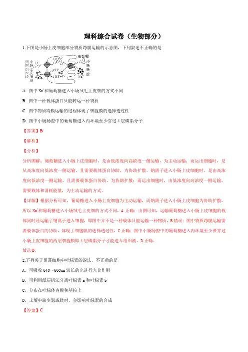 云南省昆明市云南师范大学附属中学2019届高三下学期高考适应性月考卷(六)理科综合生物试题(解析版)