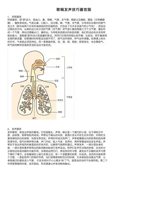 歌唱发声技巧器官图