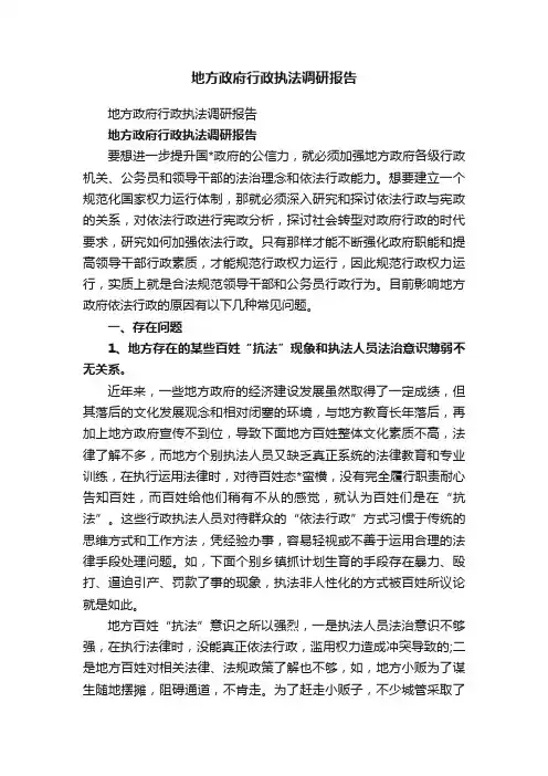 地方政府行政执法调研报告