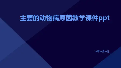 主要的动物病原菌教学课件ppt
