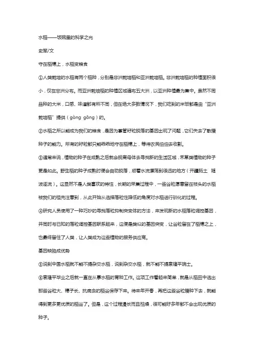水稻邹凤岭阅读理解