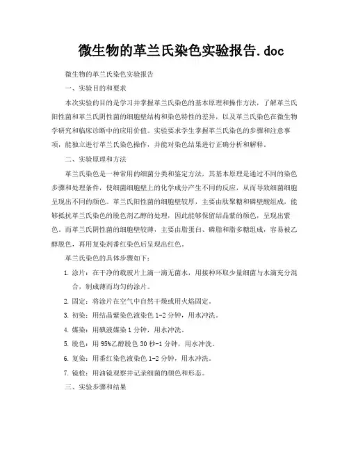 微生物的革兰氏染色实验报告doc