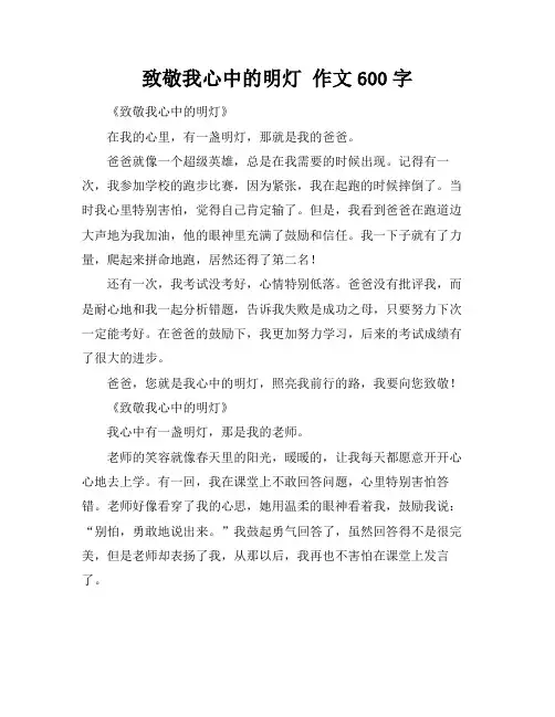 致敬我心中的明灯 作文600字