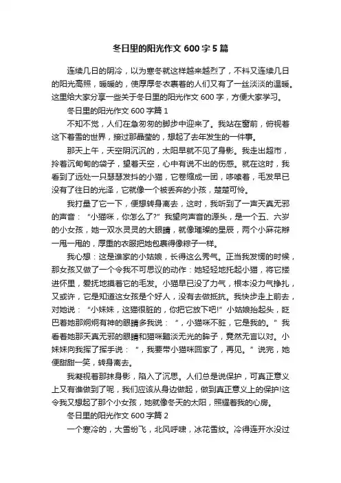 冬日里的阳光作文600字5篇