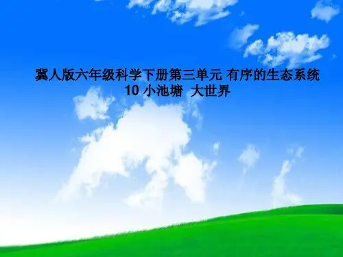 最新版本六年级科学下册精品课件10小池塘大世界70冀人版25张
