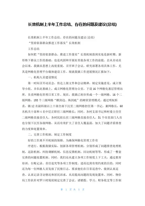 长效机制上半年工作总结、存在的问题及建议(总结)