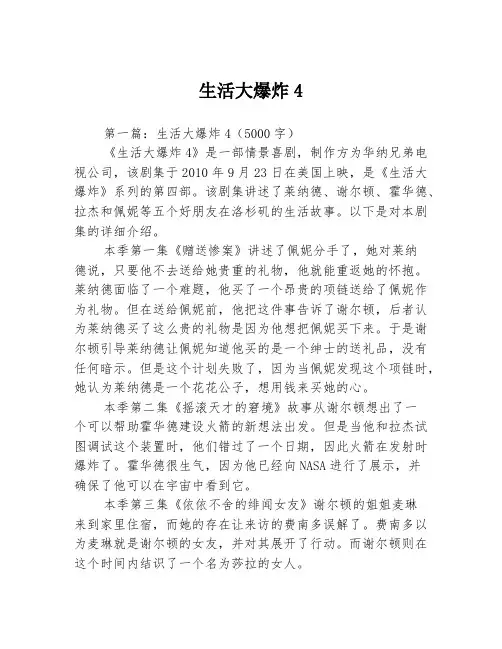 生活大爆炸4